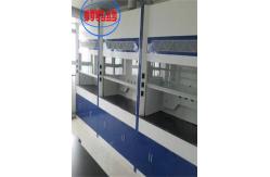 China Modern Laboratory Fume Cupboard With LED Lighting And Gas Tap supplier