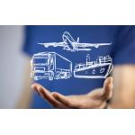 Amazon Fba Door To Door DDP DDU Sea Freight From China To Us Canada for sale