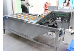 China Leaf And Vegetables Food Processing Cabbage Wash Machine supplier