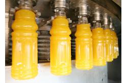 China Fully Automatic Fruit Juice Filling Machine 380v Processing Bottle Production Line supplier