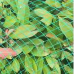 Customized Plant Protection Netting Green Crop Protection Netting Agricultural for sale