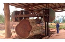 China MJ2000 Heavy Duty Sawmill Big Wood Band Saw With Control Cabinet supplier