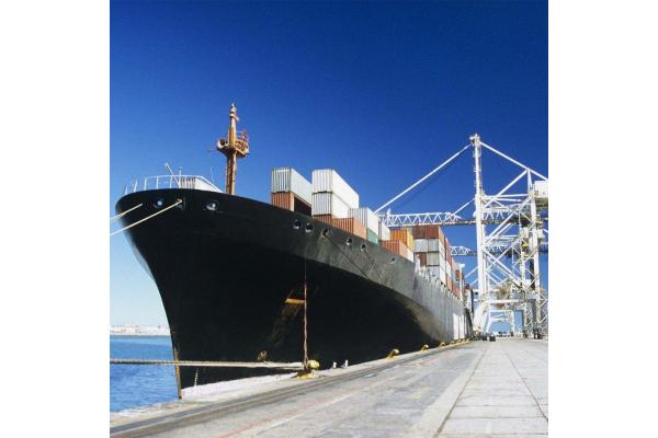 Varies Shipping Ocean Freight Services With Restrictions And Regulations For Your Business
