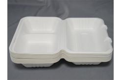 China 9X6 Compostable Biodegradable Bagasse Food Box 3 Compartment supplier