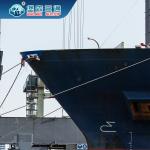 Custom Declaration Import Freight Forwarder WCA Qualification for sale