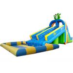 Dual Slide Inflatable Water Park Pool In Frog Design For Kids And Adult for sale