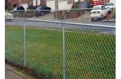 China 1 Inch Galvanize Chain Link Fence Hook Mesh Farm supplier
