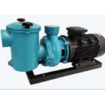 CCPB30 Swimming Pool Water Pumps For Swimming Pool for sale