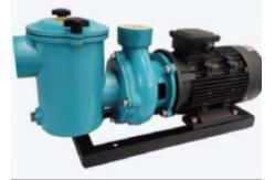 China CCPB30 Swimming Pool Water Pumps For Swimming Pool supplier