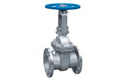 China 304 316 Cf8 Cf3m Cf8m Gate Valve 12 Inch Stainless supplier