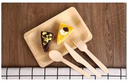 China Biodegradable Rectangular Disposable Wooden Plates tableware 200×125×20mm supplier