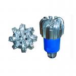Oil Extraction PDC Bit Arc Polycrystalline Diamond Compact Drilling Tools for sale