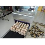Safety Egg Inkjet Marking Machine With Free Upgrade And Technical Guidance