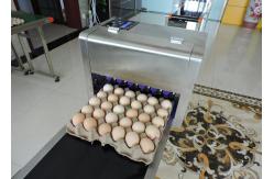 China Safety Egg Inkjet Marking Machine With Free Upgrade And Technical Guidance supplier