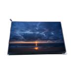 VVX10F002B00 10.1 inch 1000: 1 LCD Screen Display Panel for sale