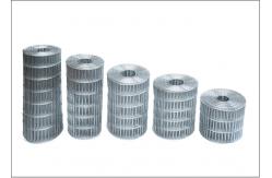 China Iron Galvanized Welded Wire Mesh Roll For Bird Hot dipped Zinc Coated supplier