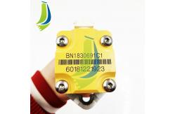 China BN1830691C1 Fuel Injector For Diesel Engine supplier