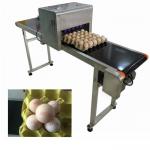 Industrial Safety Edible Ink Batch Coding Inkjet Printer For Food Package Eggs for sale
