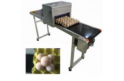 China Industrial Safety Edible Ink Batch Coding Inkjet Printer For Food Package Eggs supplier