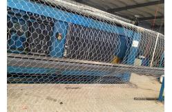 China Galvanized Expanded Metal Wire Mesh , Hexagonal Chicken Wire Mesh PVC Coated supplier