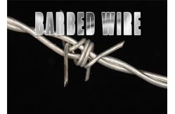 China 12x12 Single Twisted Galvanized Razor Barbed Wire supplier