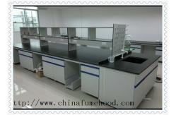China C  Framework Steel  Wood Biology Lab Furniture Gray Or Blue Colour supplier