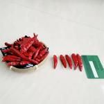 Get Red Chilli Pepper Ring Optimal Size 0.5-1.5cm B2B Buyers Top Choice for sale