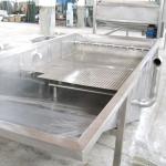 Automatic Industrial Bubble Washing Machine For Vegetable Fruit 220V for sale