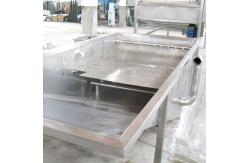 China Automatic Industrial Bubble Washing Machine For Vegetable Fruit 220V supplier