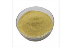 China High Protein Livestock Brewers Yeast Powder Rich In Aminoacids supplier