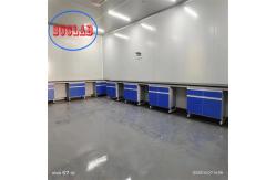 China High Safety Chemistry Lab Workbench Laboratory Benches With Functional Drawers supplier