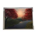 CCFL 12.1 inch tft lcd screen 800*600 lcd display panel LQ121S1LG61 for sale