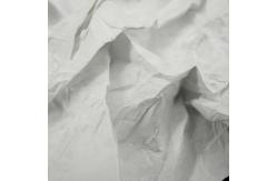 China 43g 55g 75g 105g Dupont Tyvek Fabric PU Tear Resistance Material supplier