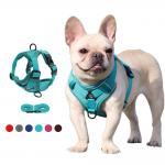 Adjustable Breathable Dog Vest Safety 1.5m Traction Leash No Pull Dog Harness Set Personalized for Safe and Stylish Walks for sale