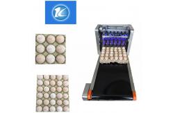 China Easy Control Egg Printing Machine With 120000 Characters Per Hour High Speed supplier