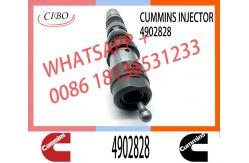 China QSK23 Diesel Engine Common Rail Injector 4902828 4088428 4326780 4326781 4928346 supplier