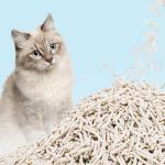 Green Tea Flushable Kitty Litter Low Dust Flushable Clumping Cat Litter for sale