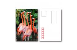 China 3D Flash Card Lenticular 3d Pictures Animal Design For Kids Gift supplier