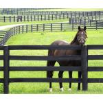 6ft Fiberglass Horse Fence Fiberglass Reinforced Plastic Livestock Fencing for sale
