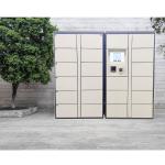 Automation Digital Pin Code Locker Smart Parcel Delivery Locker With Face Recognition Barcode System for sale