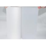 50 Micron Polyester translucent PES Hot Melt Adheisve Film