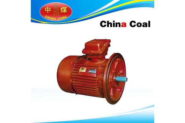 YBJ Series Three-phase Asynchronous Motor