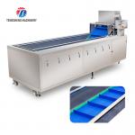 240KG Air bubble vortex washing machine Fruit and vegetable washing machine cleaning production line for sale