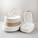 Custom Printed Compostable Smoothie Cups Sugarcane Bagasse Plate 20 Oz