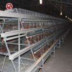 New Type Battery Chicken Cage Automatic Manure Cleaning System for sale