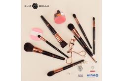 China Customized Cosmetic Brush Set for BLUSHER Application by Professional Suppliers supplier