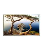 B121EW09 V3 HW0A 1280*800 12.1 inch TFT-LCD screen Panel for sale