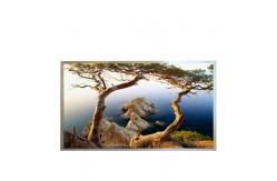 China B121EW09 V3 HW0A 1280*800 12.1 inch TFT-LCD screen Panel supplier