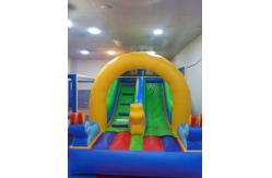 China Large Inflatable Water Slide With Pool Adult Water Slide Bounce House Inflatable Slide supplier