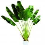 Factory Price New Designs Customized Artificial Potted Traveller Palm Faux Trees BIRD OF PARADISE  Artificial Bonsai for sale